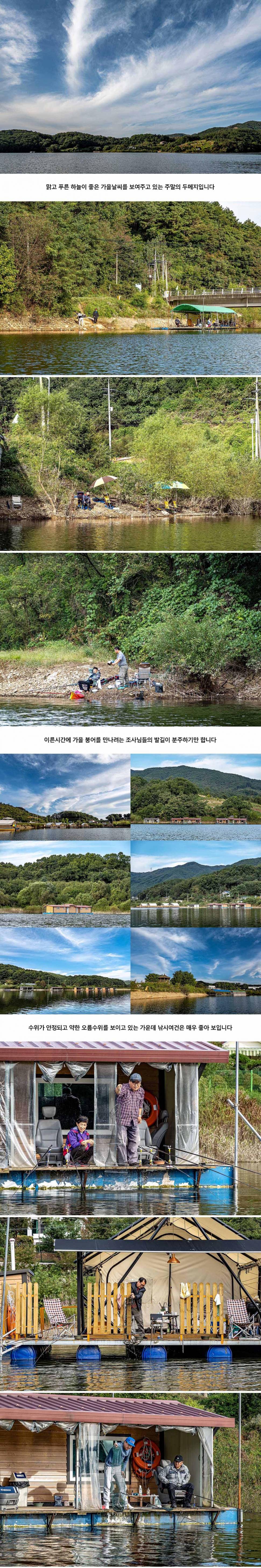 안성 두메낚시터 9월 26일 조황정보 (유료터정보 - 유료터점주조황)