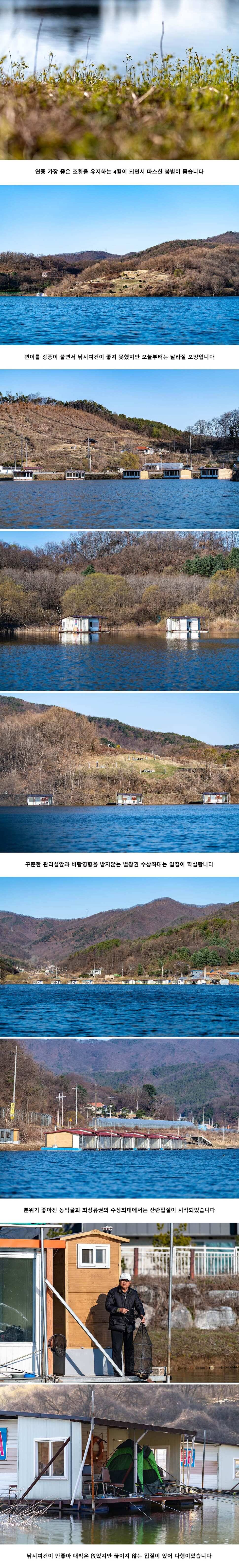 안성 두메낚시터 4월 1일 조황정보 (유료터정보 - 유료터점주조황)