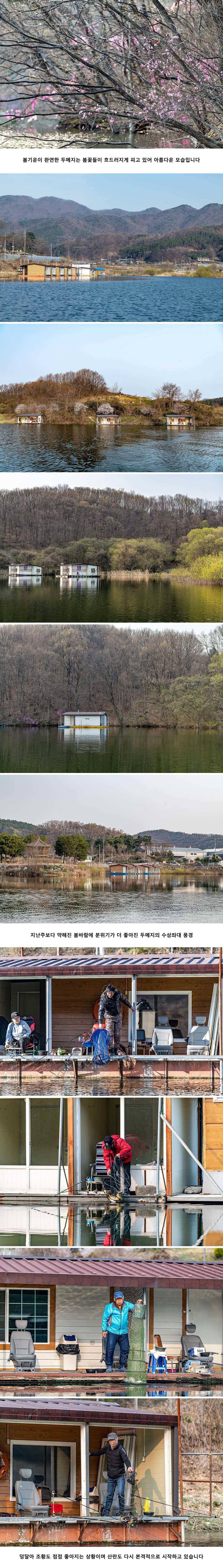 안성 두메낚시터 4월 7일 조황정보 (유료터정보 - 유료터점주조황)
