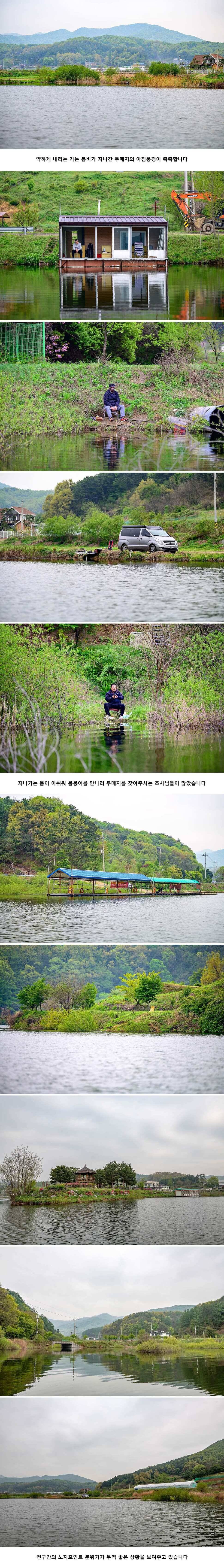 안성 두메낚시터 4월 30일 조황정보 (유료터정보 - 유료터점주조황)