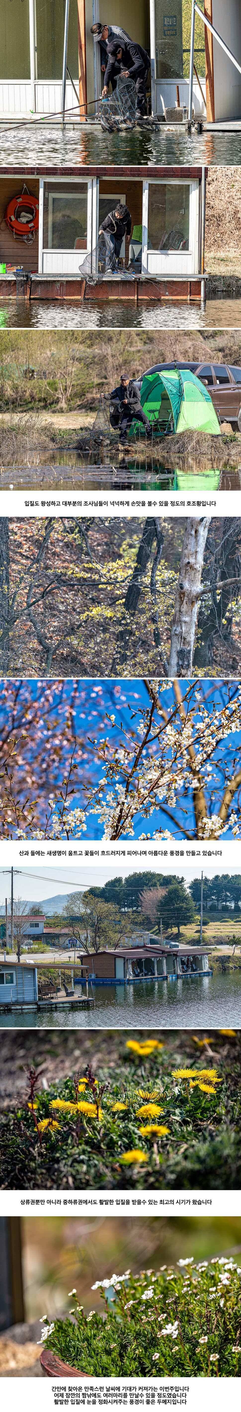 안성 두메낚시터 4월 14일 조황정보 (유료터정보 - 유료터점주조황)