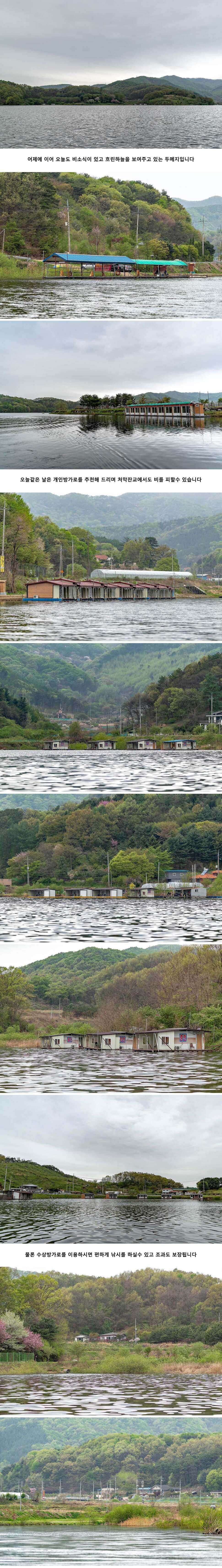 안성 두메낚시터 4월 25일 조황정보 (유료터정보 - 유료터점주조황)