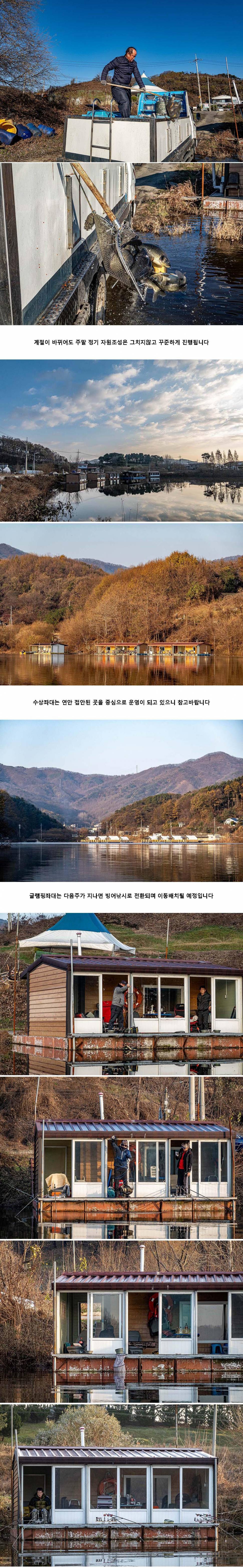 안성 두메낚시터 11월 19일 조황정보 (유료터정보 - 유료터점주조황)