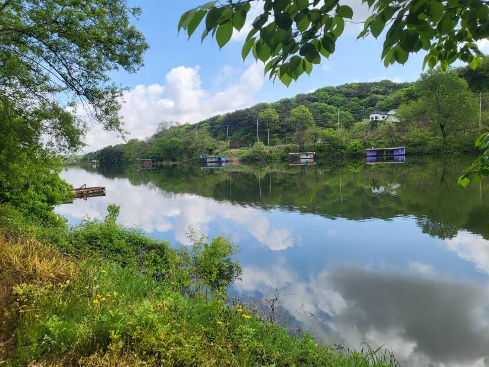 당진 가교리 낚시터 4월 29일 조황입니다 (유료터정보 - 유료터점주조황)