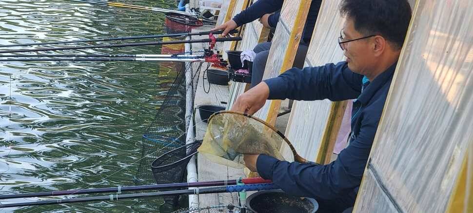 양평 낚시터 수곡낚시터 621 일요일 46cm 대물붕어 포함 씨알좋은 붕어들이 나와주네요 (유료터정보 - 유료터점주조황)