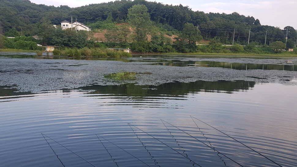 당진 가교리 낚시터 9월 2일 조황입니다 (유료터정보 - 유료터점주조황)