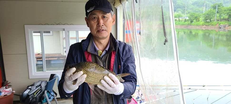 양평낚시터 힐링 수곡낚시터 주초조황 좋아지네요 금일 붕어방류 (유료터정보 - 유료터점주조황)
