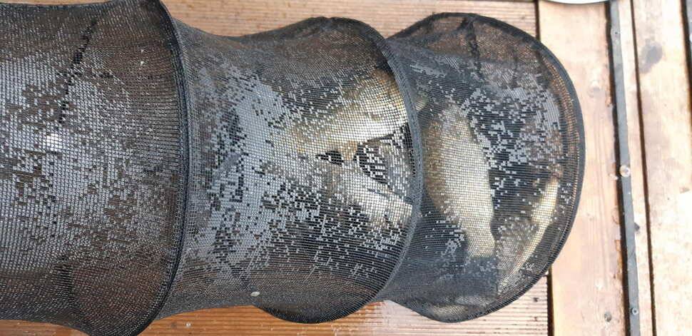 힐링 수곡낚시터 주말금요일 큰편차없이 고른 조황이 나옵니다 (유료터정보 - 유료터점주조황)