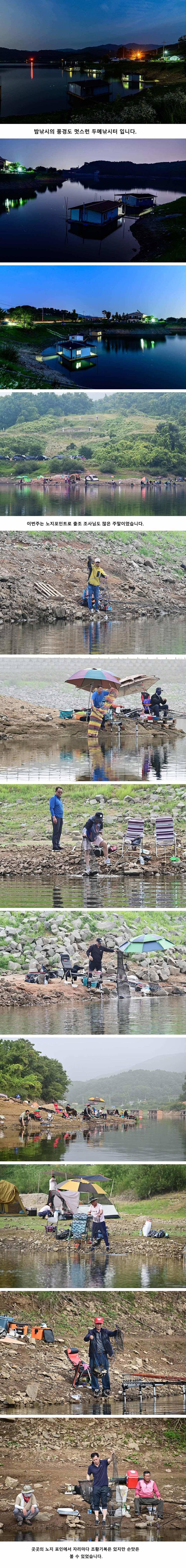 안성 두메낚시터 7월14일 조황안내 (유료터정보 - 유료터점주조황)