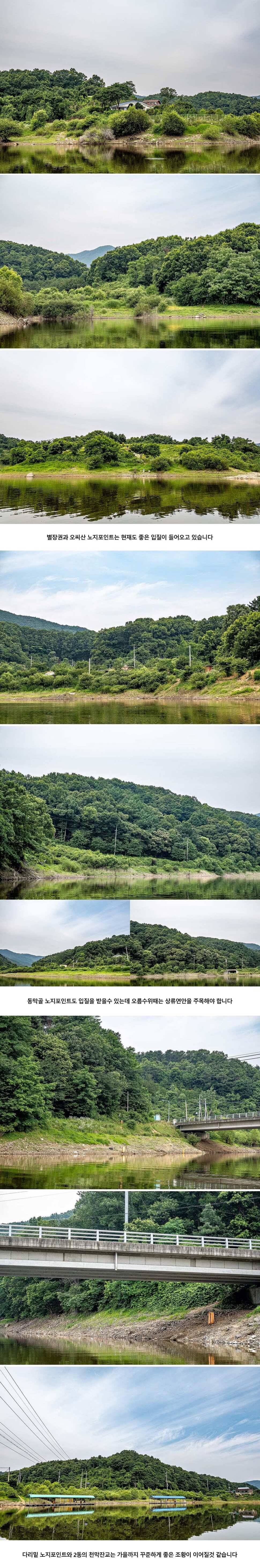 안성 두메낚시터 6월 29일 조황정보 (유료터정보 - 유료터점주조황)