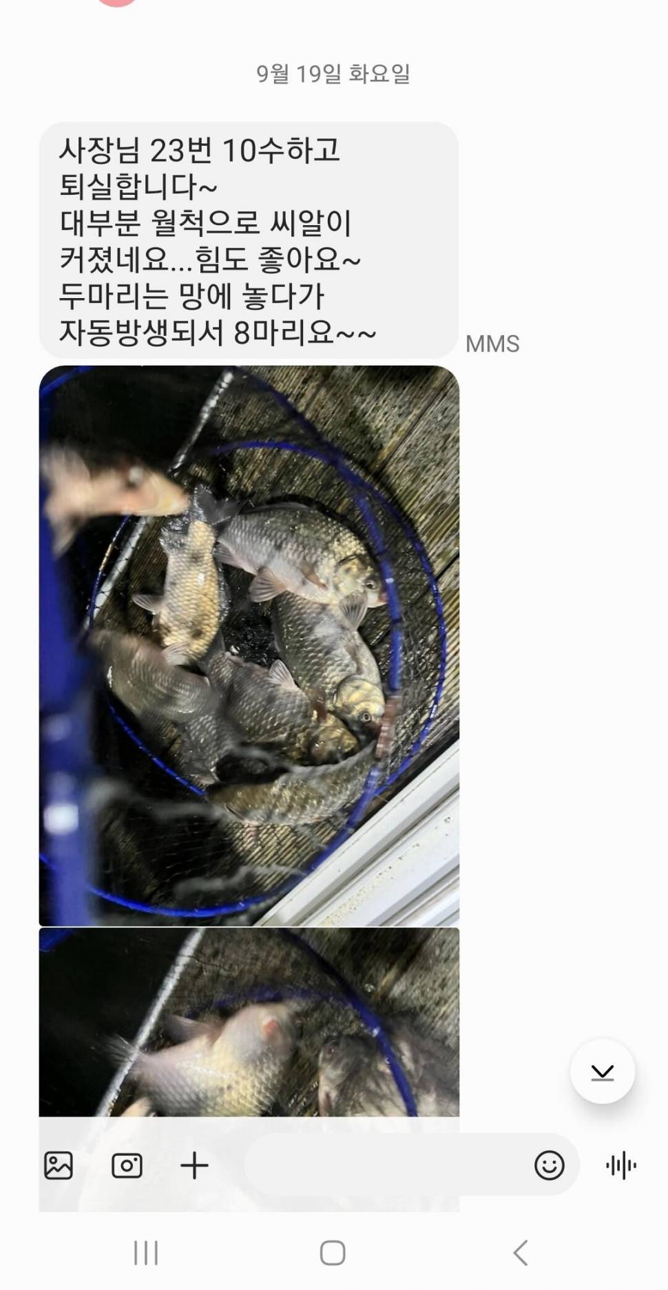 2023년 9월 셋째주 조황정보 용담낚시터사암지 (유료터정보 - 유료터점주조황)