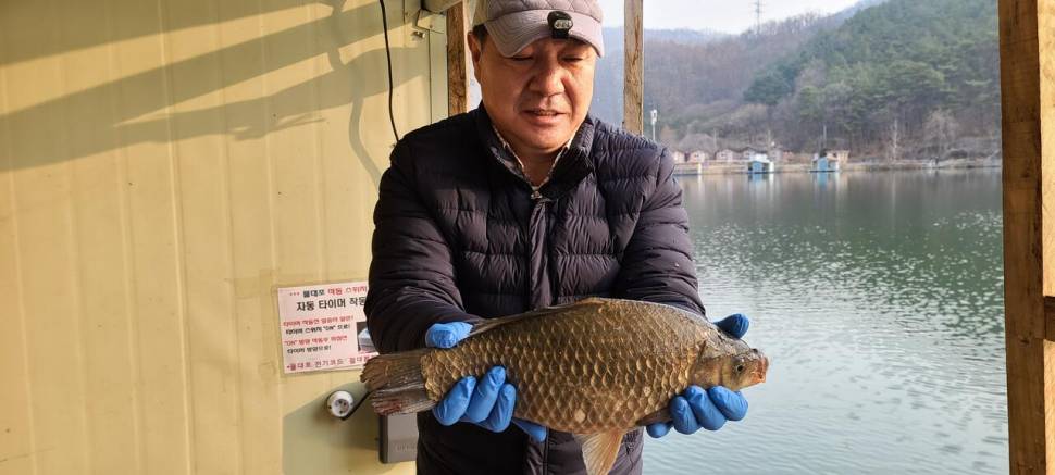 양평 힐링 수곡낚시터 둘째주 주말 조황 및 붕어 방류 (유료터정보 - 유료터점주조황)