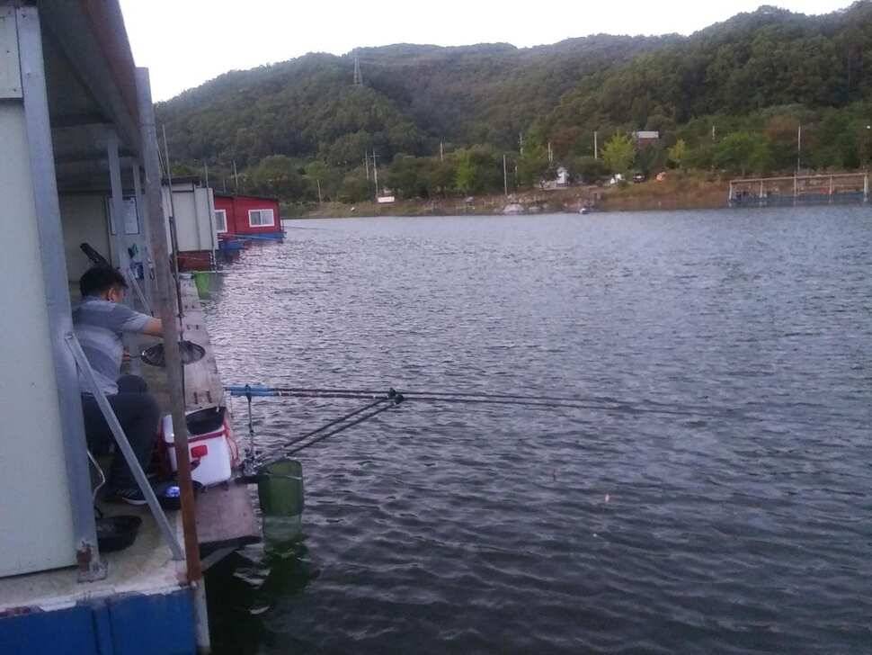 양평 힐링 수곡낚시터 어제 조황도 큰편차없이 고르게 괜찬았습니다 내일도 붕어방류 이어집니다 (유료터정보 - 유료터점주조황)