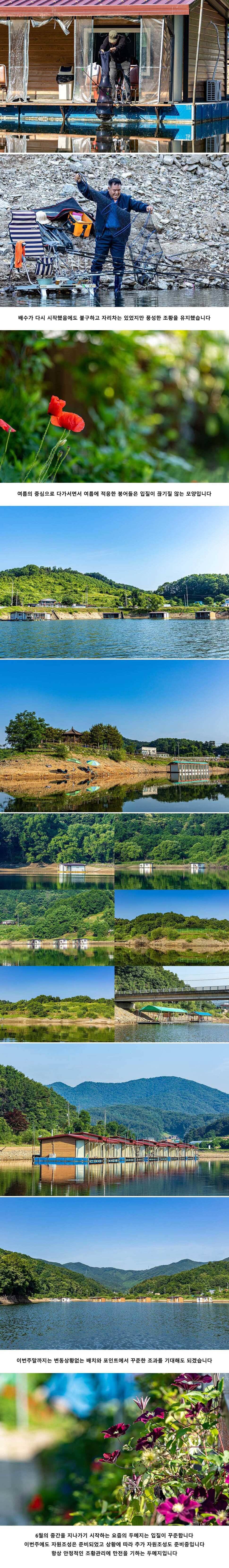 안성 두메낚시터 6월 13일 조황정보 (유료터정보 - 유료터점주조황)