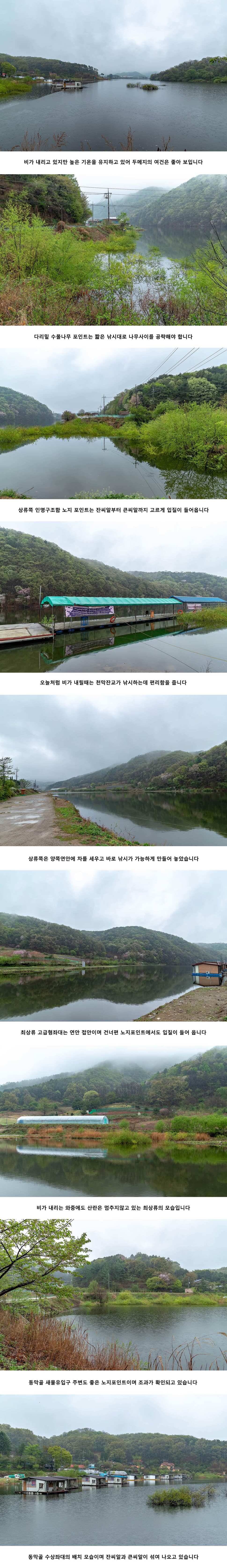 안성 두메낚시터 4월 24일 조황정보 (유료터정보 - 유료터점주조황)
