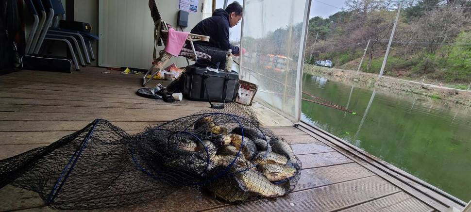 4월 양평 힐링 수곡낚시터 첫주말 대체로 고른 조황이었네요 (유료터정보 - 유료터점주조황)
