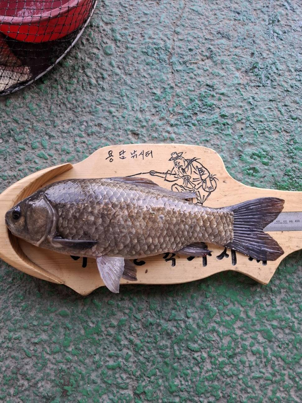 용담낚시터사암지 5월 둘째주 조황정보 (유료터정보 - 유료터점주조황)