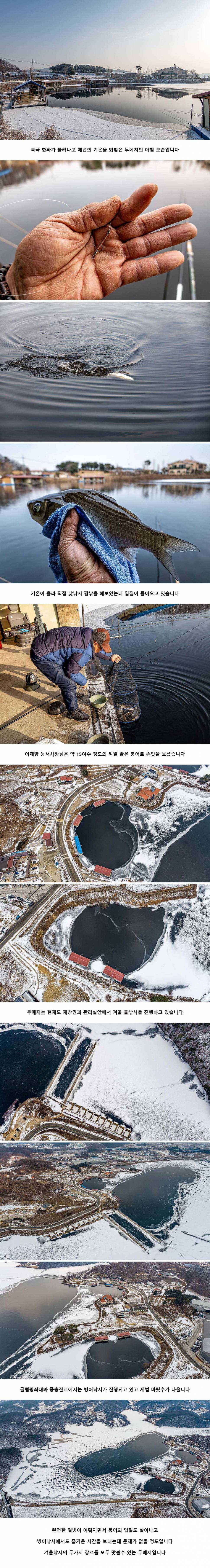 안성 두메낚시터 1월 13일 조황정보 (유료터정보 - 유료터점주조황)