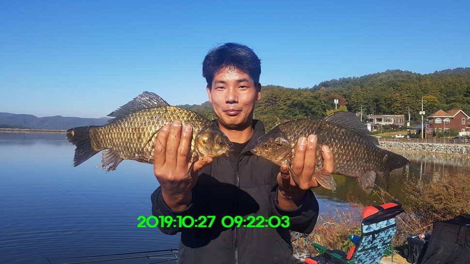 신원낚시터 10월29일 또다시 토종 49센티가 등장 했습니다 (유료터정보 - 유료터점주조황)