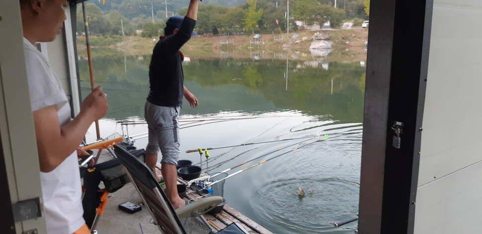 힐링 수곡낚시터 주말 토요일 붕어 조황 및 붕어방류 (유료터정보 - 유료터점주조황)