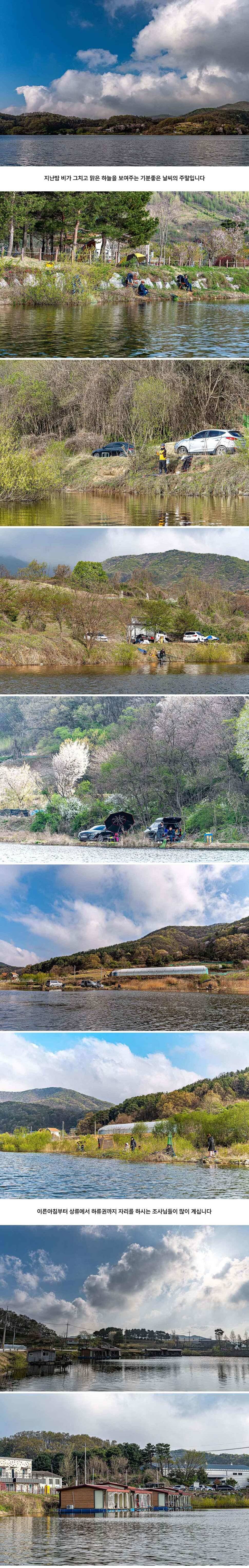 안성 두메낚시터 4월 18일 조황정보 (유료터정보 - 유료터점주조황)