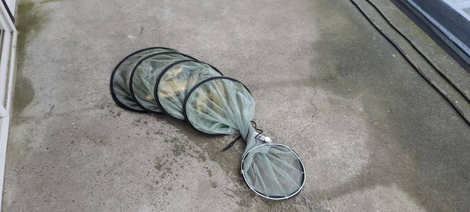 공주 고성낚시터 입니다 (유료터정보 - 유료터점주조황)