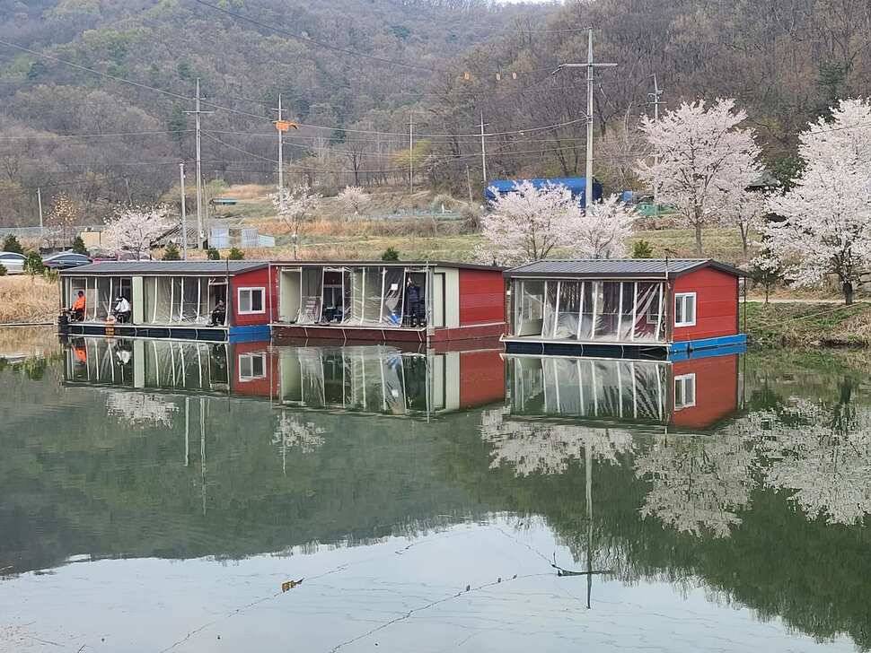 힐링 양평 수곡낚시터 주말조황 및 방류안내 (유료터정보 - 유료터점주조황)