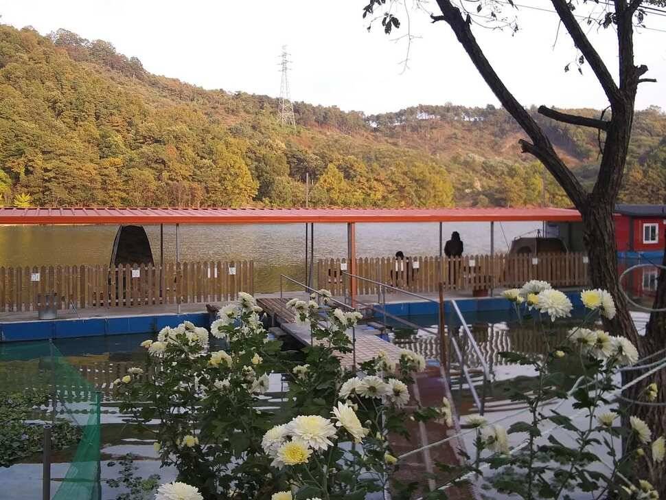수곡낚시터 4짜 대물붕어가 또 나왔습니다 주말 조황 붕어방류 소식전합니다 (유료터정보 - 유료터점주조황)