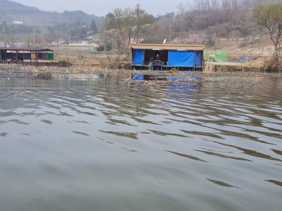 당진 가교리 낚시터 3월 30일 조황입니다 (유료터정보 - 유료터점주조황)