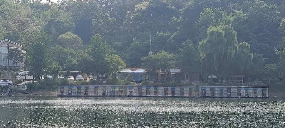 수곡낚시터 6월 세째주 금토 주말조황 및 붕어 방류 (유료터정보 - 유료터점주조황)