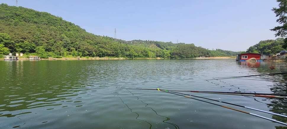 수곡지 수곡낚시터 첫주일요일 붕어100수 포함 꾸준한 조황 이어지네요 (유료터정보 - 유료터점주조황)