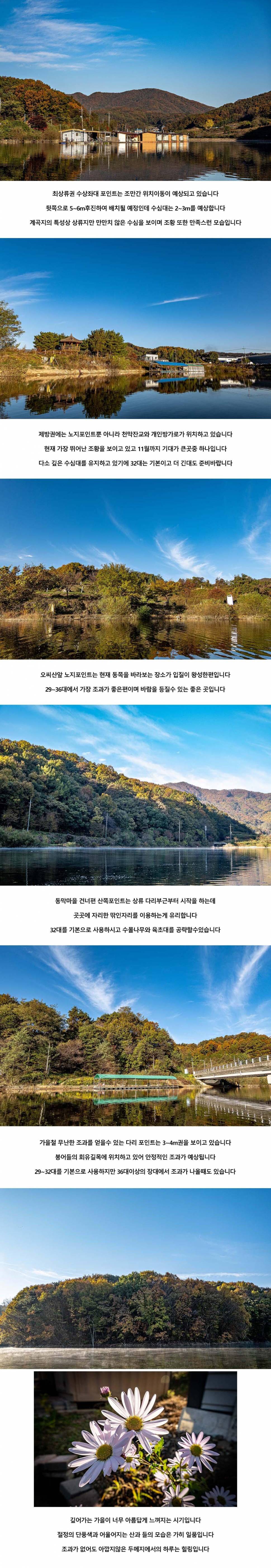 안성 두메낚시터 10월 29일 조황정보 (유료터정보 - 유료터점주조황)