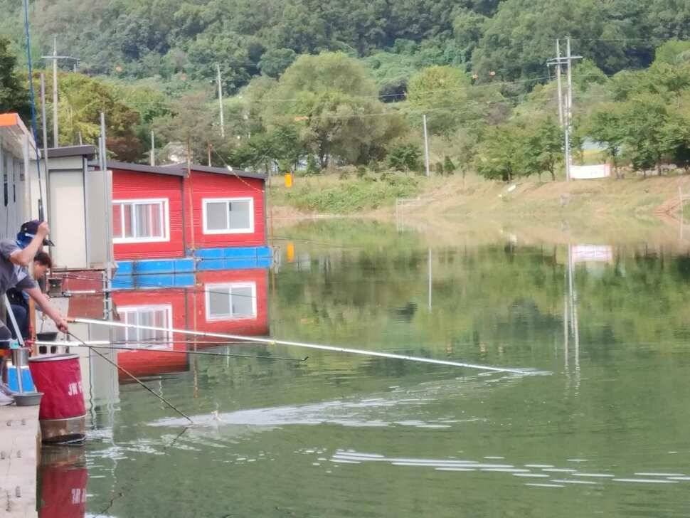 양평 수곡낚시터 9월28 오늘도 고르게 좋은 조황이 이어지고 있네요 오늘 붕어방류 완료하였습니다 (유료터정보 - 유료터점주조황)