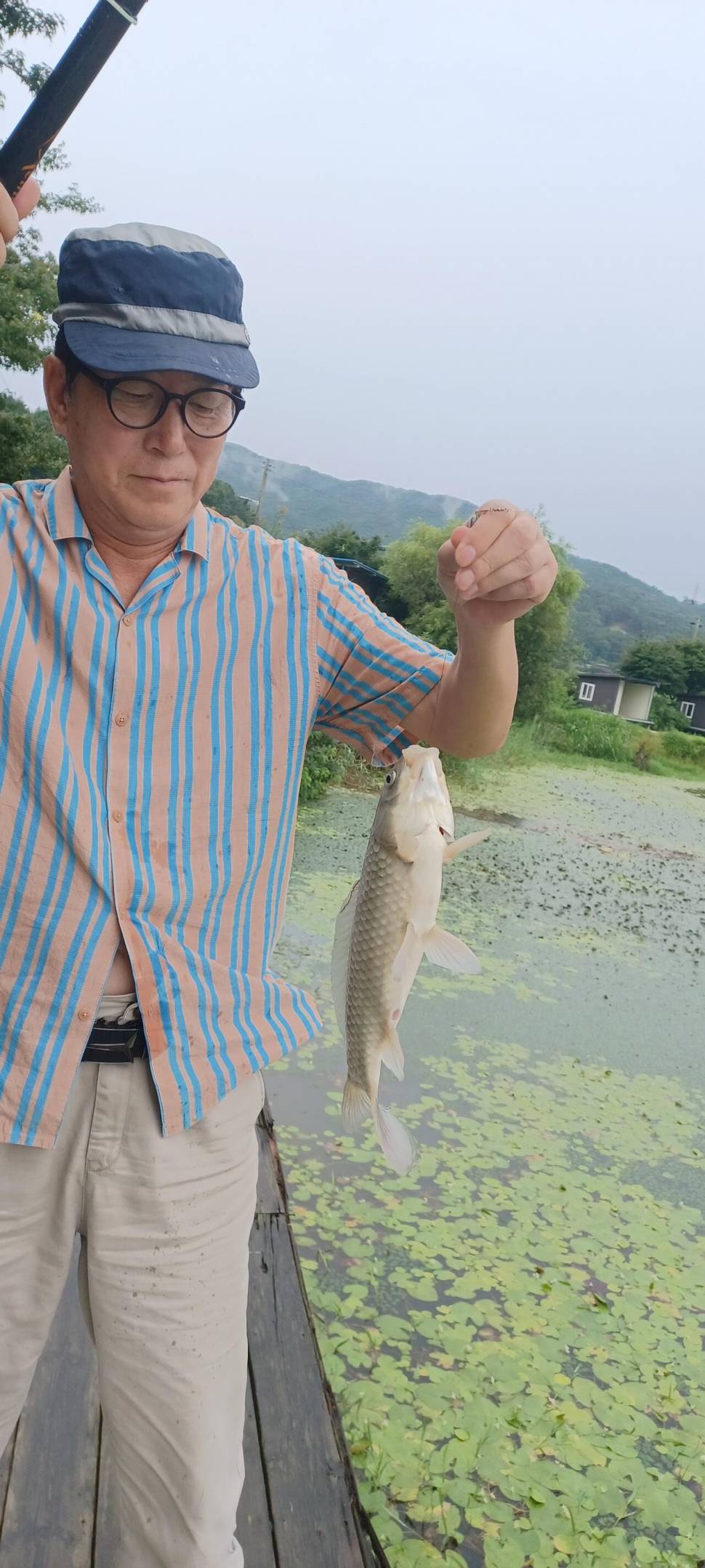 어우실지 나오면 월척에 때깔좋은어우실 입니다 오염이없는 저수지9 (유료터정보 - 유료터점주조황)