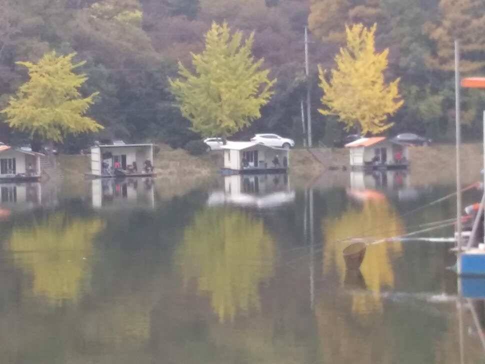 양평 수곡낚시터 자연산 토종붕어 방류 및 주말 조황 안내 (유료터정보 - 유료터점주조황)