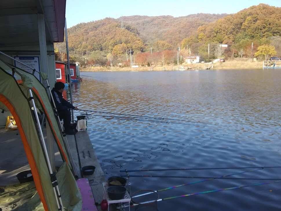 수곡낚시터 주말 조황 소식 및 붕어 방류 안내드려요 (유료터정보 - 유료터점주조황)