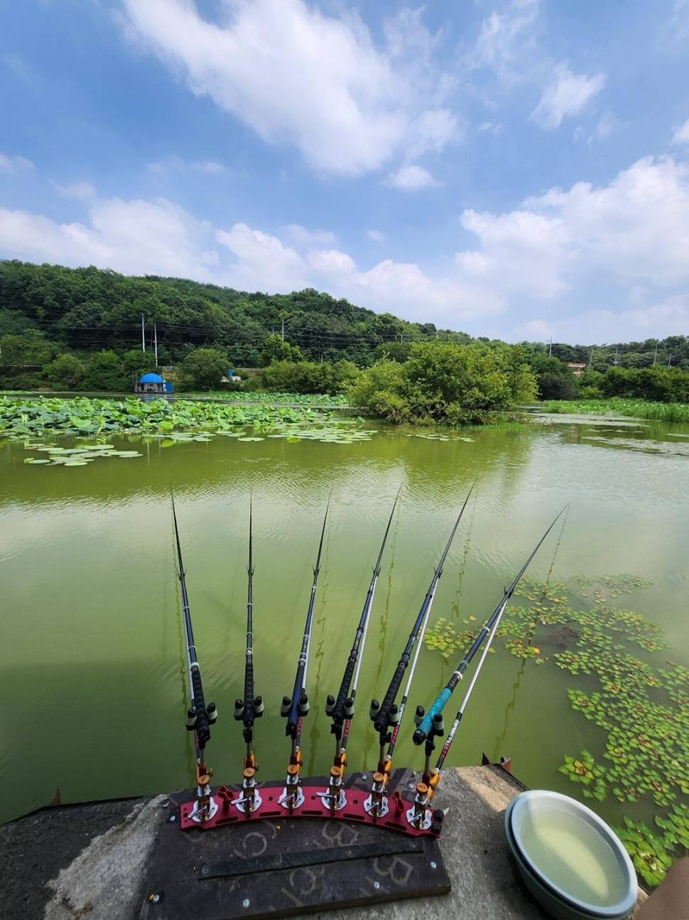 당진 가교리 낚시터 5월 27일 조황입니다 (유료터정보 - 유료터점주조황)