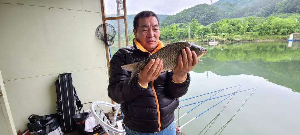 힐링 양평 수곡낚시터 6월 첫날 주초 조황 및 오늘 붕어방류 (유료터정보 - 유료터점주조황)