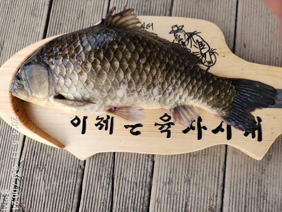 2024년 05월 셋째주 조황정보 용담낚시터사암지 4짜 5마리 (유료터정보 - 유료터점주조황)