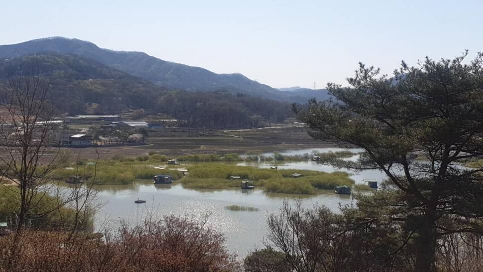 봄향기 가득한 고삼지의 사짜붕어 조황입니다 (유료터정보 - 유료터점주조황)