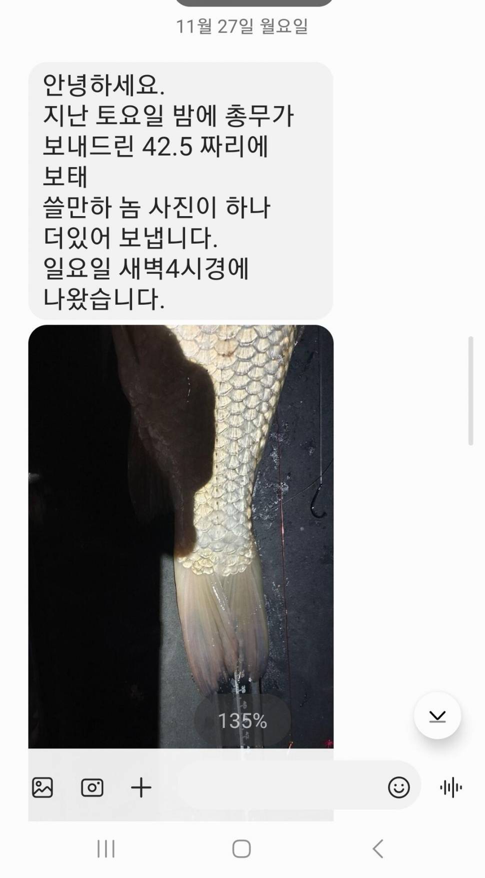 2023년 11월 마지막주 조황정보 용담낚시터사암지 (유료터정보 - 유료터점주조황)