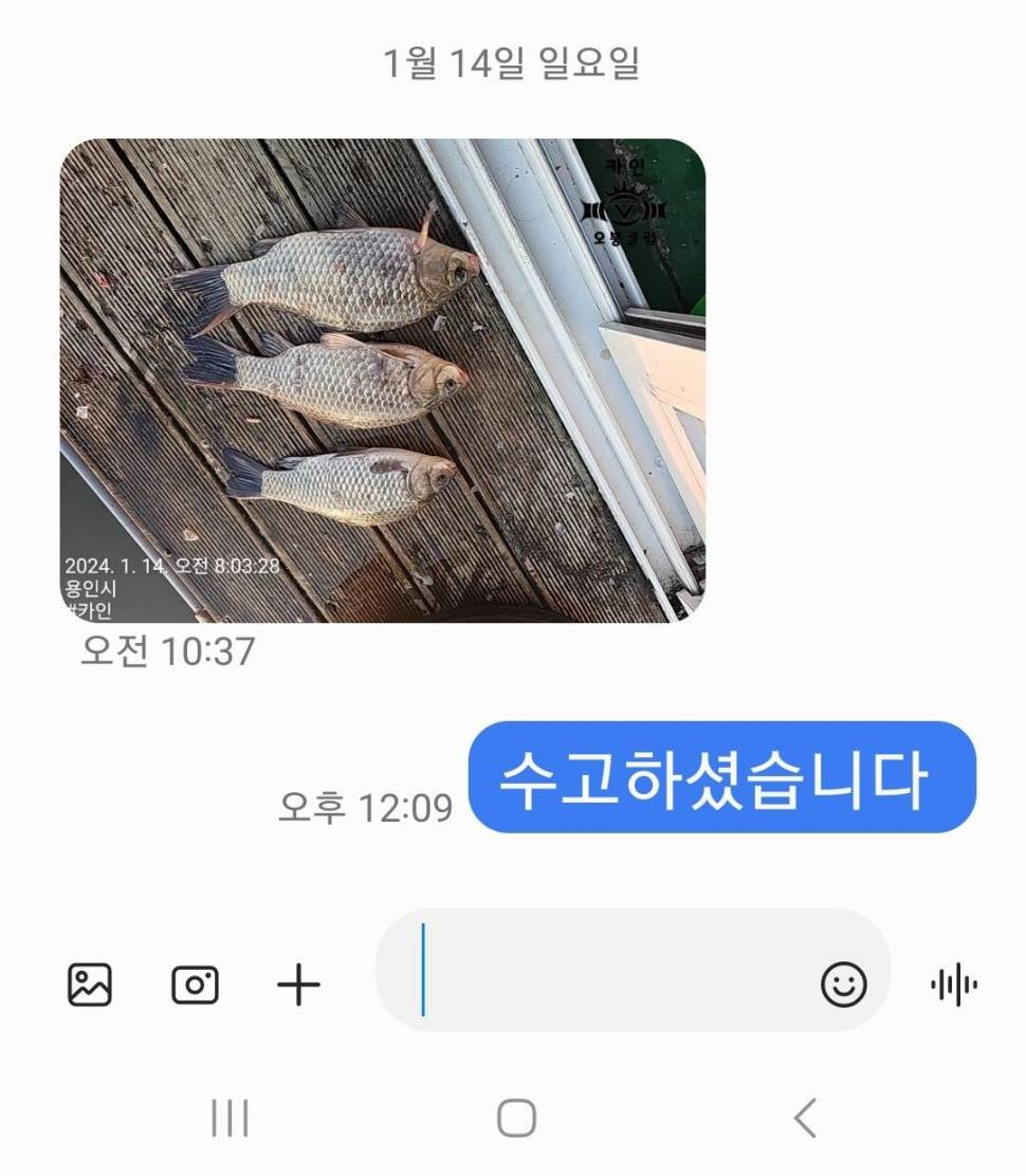 2024년 01월 셋째주 조황정보 용담낚시터사암지 (유료터정보 - 유료터점주조황)