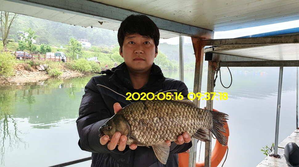 신원낚시터 6월2일토종대물 445짜리와 덩어리들 사진입니다 (유료터정보 - 유료터점주조황)