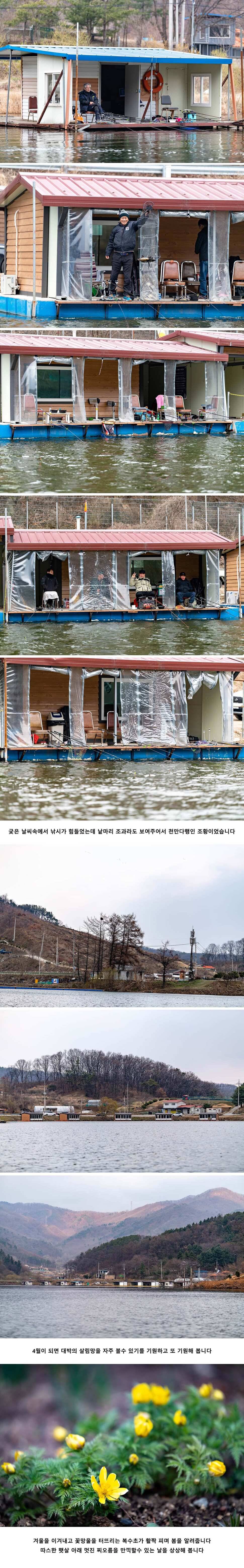 안성 두메낚시터 3월 31일 조황정보 (유료터정보 - 유료터점주조황)