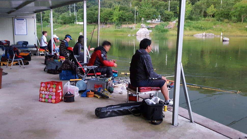 힐링 양평 수곡낚시터 목금요일 편차가 많아 고른 조황이 나오지 못했네요 오늘 붕어방류 완료 (유료터정보 - 유료터점주조황)