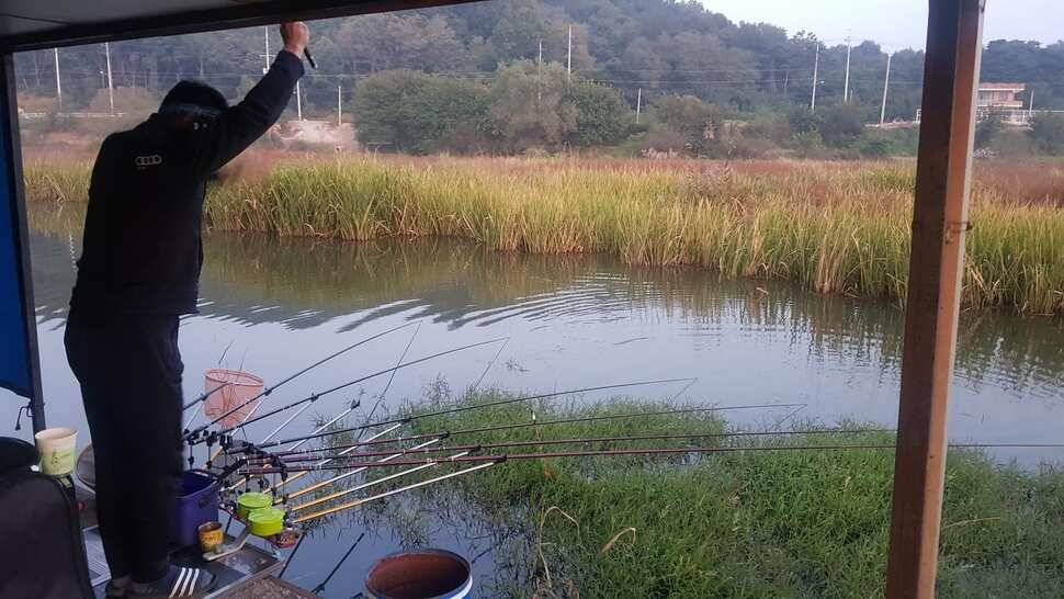 당진 가교리 낚시터 10월 22일 조황입니다 (유료터정보 - 유료터점주조황)