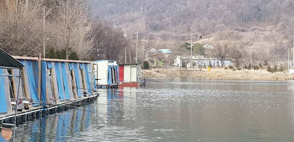 양평 수곡낚시터 3월 첫째주 주중주말 조황 붕어방류 및 수상좌대 할인행사 연장 안내 (유료터정보 - 유료터점주조황)