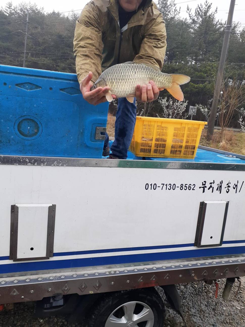 경주 동산낚시터붕어 전용잡이터지난주 조황 (유료터정보 - 유료터점주조황)