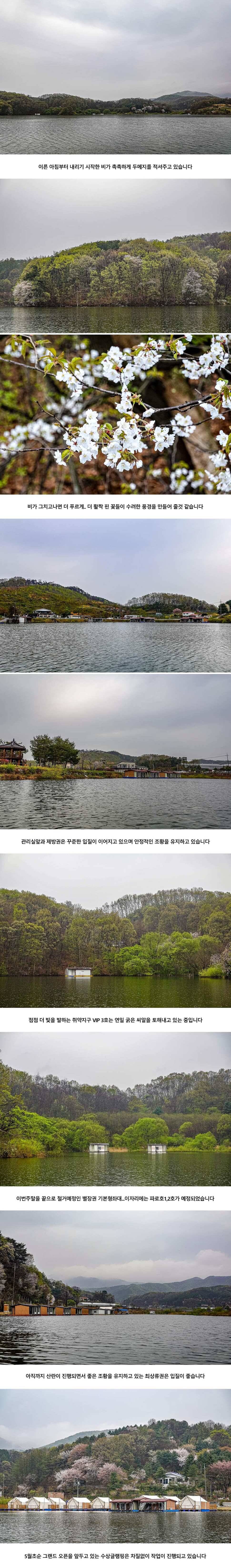안성 두메낚시터 4월 17일 조황정보 (유료터정보 - 유료터점주조황)