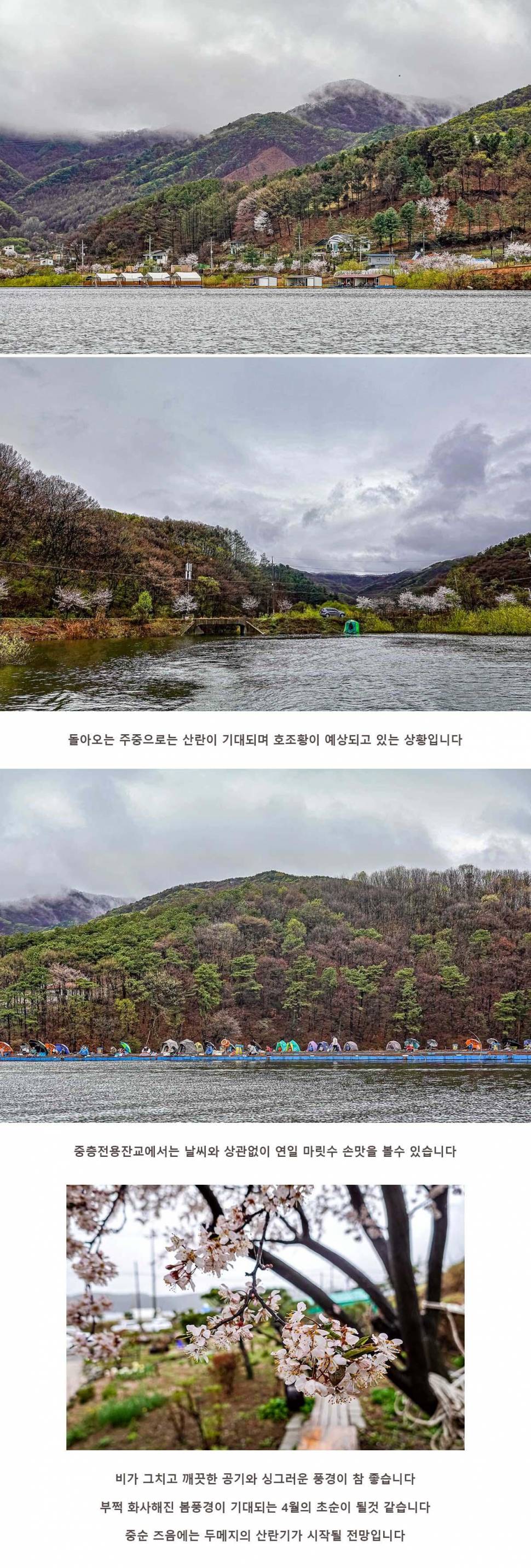 안성 두메낚시터 4월 4일 조황정보 (유료터정보 - 유료터점주조황)